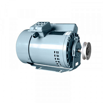 Мотор индукционный BRUCE 220 (380) V, 400W, 1425 об/мин