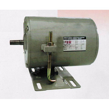 Индукционный мотор FSM 220В