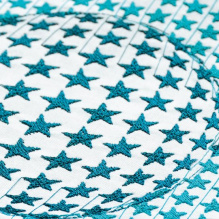 Bernina Designer + v.8.0