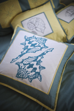 Brother Innov-is NV800E