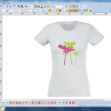 Bernina Designer Plus v7.0